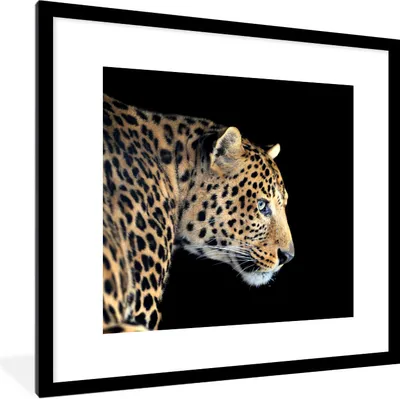 Produktbild von MuchoWow® Gerahmtes Poster Leopard - Tiere - Schwarz 40x40 cm - Poster mit Schwarzem Bilderrahmen Wandposter Rahmen Foto Bilder - Poster - Plakat im Rahmen