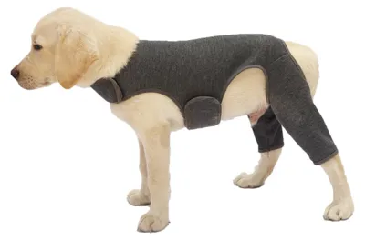 Produktbild von INF Hunde Hinterbein Doppelschutzhülle - Postoperative Wundheilungshilfe M