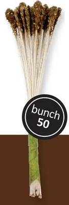 Produktbild von Stempel – lilienbraun 50 Stück - PME