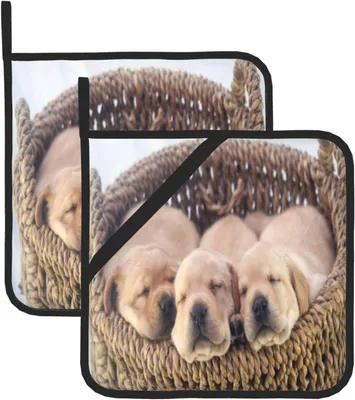 Imagen del producto de Estante para pared de cocina, de 40x134x12 cm, con ganchos y soportes