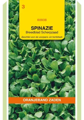 Imagen del producto de Semillas de espinaca "Oranjeband", sabor más intenso, 50g - 1 paquete