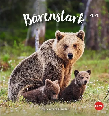 Produktbild von Bärenstark Postkartenkalender 2026
