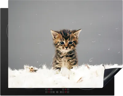 Produktbild von KitchenYeah© Herdabdeckplatte Katze - Kätzchen - Federn , 77x59cm, Küche Deko, Glaskeramikkochfeld Herdabdeckung, Abdeckplatte fùr Kochfeld