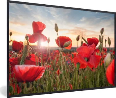 Produktbild von MuchoWow® MuchoWow® Gerahmtes Poster Sonnenuntergang hinter den schönen Mohnblumen 60x40 cm - Poster mit zchwarzem Bilderrahmen - Printing - Wanddeko Schlafzimmer
