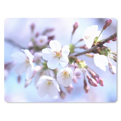 Produktbild von MuchoWow® Mauspad Mousepad Blumen - Sakura - Zweig 40x30 cm - Mousepads - Maus Mat - Pad - Mausunterlage - Anti Rutsch