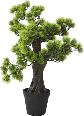 Produktbild von vidaXL Künstlicher Bonsai Pinus mit Topf 60 cm Grün