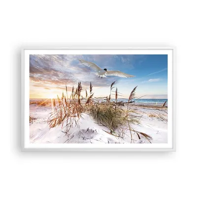 Produktbild von Gerahmtes Poster - Weißer Rahmen - Möwe Meer Küste - 91,5x61 cm - Wand Bild - Wanddeko - Wandbilder - Kunstposter - Wandposter - Bilderrahmen - Bilder - Kunstdruck - Wanddekoration - P2WAA91x61-4902