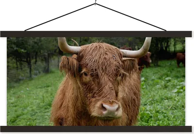 Produktbild von MuchoWow® Textilposter Schottische Hochlandrind - Tiere - Gras 120x60 cm mit schwarzem Rahmen - Dekoration Schlafzimmer