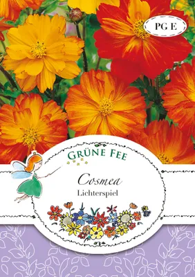 Produktbild von Grüne Fee - Cosmea Lichterspiel Samen - 13253
