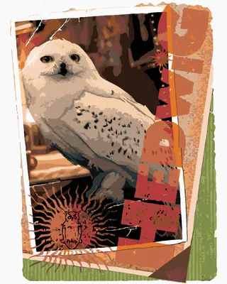 Image de Zuty - Peinture par numéros - CARTE HEDVIKA (HARRY POTTER), 40 x 50 cm, sans cadre et sans toile tendue