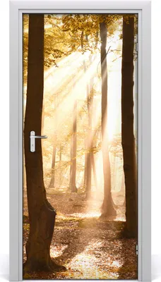 Produktbild von Tulup Türaufkleber 95x205 cm Dekorative Aufkleber Selbstklebend Wasserdichte Tapete Abnehmbar Schlafzimmer Wohnzimmer Wohnkultur - Wald im Herbst