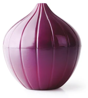 Immagine prodotto di Scatola di plastica per cipolle