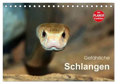 Produktbild von Gefährliche Schlangen (Tischkalender 2027 DIN A5 quer), CALVENDO Monatskalender