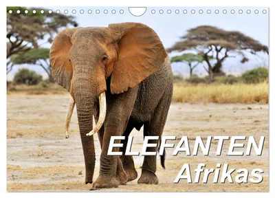 Produktbild von Elefanten Afrikas (Wandkalender 2027 DIN A4 quer), CALVENDO Monatskalender