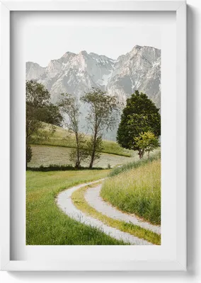 Produktbild von Feldhund in den Bergen– Wandbild mit Rahmen – Gerahmtes Bild  – Wanddekoration – 40x60 cm – Weiß