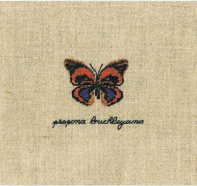 Obrázek produktu pro Vyšívací sada Le Bonheur des Dames Petit Point "Prepona Buckleyana But