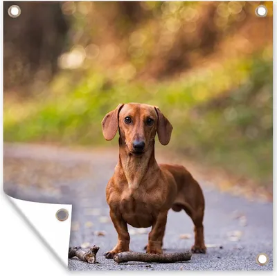 Produktbild von MuchoWow®