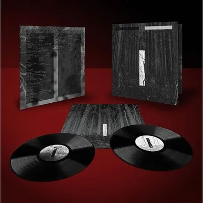 Zdjęcie produktu dla Chris Liebing: Another Day - - (Vinyl / Pop (Vinyl))