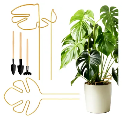 Produktbild von 2 Stück Pflanzenstützen für Monstera-Blätter, Rankhilfen für Pflanzen, Stängelstützen zur Stabilisierung und Unterstützung von Zimmerpflanzen