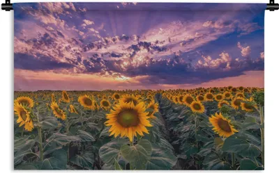 Produktbild von MuchoWow® Wandteppich Wandbehang Blumen - Himmel - Lila - Sonnenuntergang 60x40 cm Tapisserie Dekoration Wandtuch - Wanddekorationen