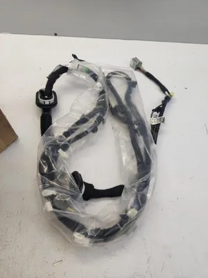 Image de Câblage du hayon pour Ford Explorer Mk6, référence 2544912