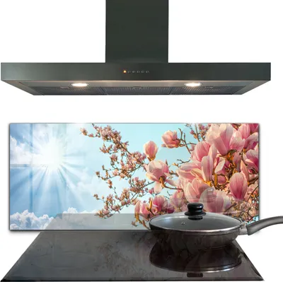 Produktbild von Spritzschutz aus Glas Küchenrückwand - Wandschutz für Herd und Spüle - 125x50 cm - Blühende Magnolie