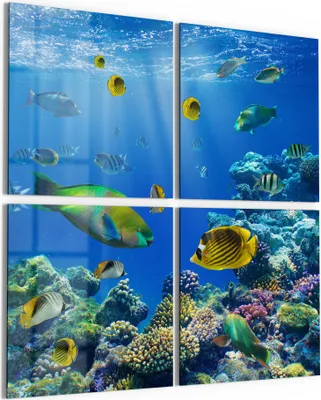 Produktbild von DEQORI Glasbild Echtglas 4x50x50 cm 'Unterwasserwelten' Wandbilder XXL groß