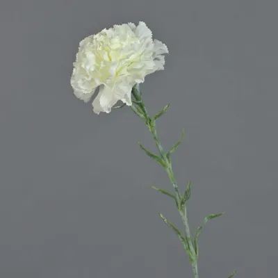 Produktbild von artplants.de Künstliche Nelke NIRUSHA, weiß, 65cm - Kunst Nelken