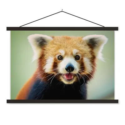 Produktbild von MuchoWow® Textilposter Roter Panda - Orange - Schwarz 90x60 cm mit schwarzem Rahmen - Aufhängungssatz