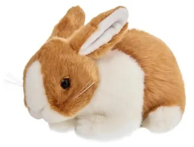 Immagine prodotto di Coniglietto marrone e bianco, 18 cm - Beppe