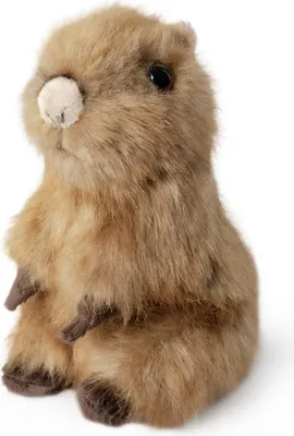 Immagine prodotto di Living Nature - Peluche capibara seduto - Giocattolo da coccolare