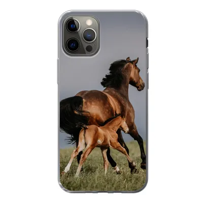 Produktbild von MuchoWow® Handyhülle Schutzhülle Hülle für iPhone 12 Pro Tiere - Pferde - Fohlen Silikon Softcase Handy Hülle - Abdeckung