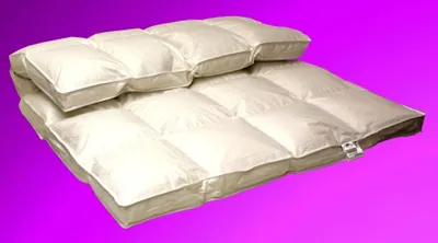 Produktbild von 2 Stück Betten Hofmann Premium 8cm Winter Hochsteg Daunendecken 4x6 Außensteg 155x220 cm, superwarm