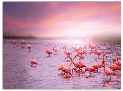 Produktbild von Wallario Glasunterlage, Schneidebrett aus Glas, Größe 30 x 40 cm, Motiv Rosa Flamingos bei Sonnenuntergang