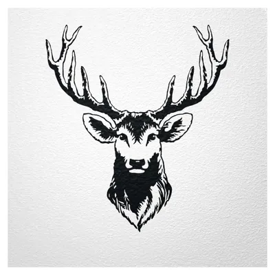 Produktbild von Wandtattoo Hirsch Hirschkopf Hirschgeweih Größe 56 x 50 cm Farbe schwarz
