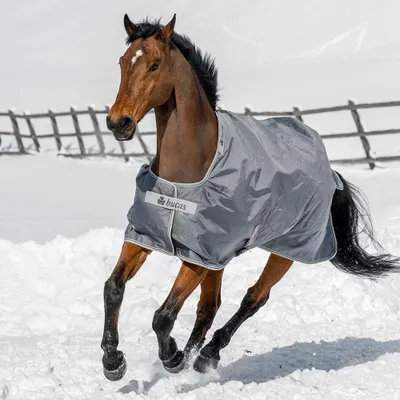 Produktbild von Bucas Outdoordecke 150g Smartex Turnout Weidedecke Iron Gate 145