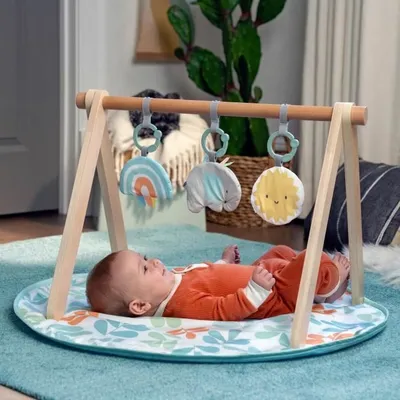 Image de Tapis de jeu Ingenuity