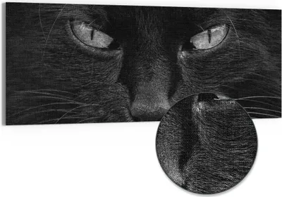 Produktbild von DEQORI Hybrid Leinwand Bild 125x50 cm 'Mystische Katzenaugen' Wandbild Glas flach modern