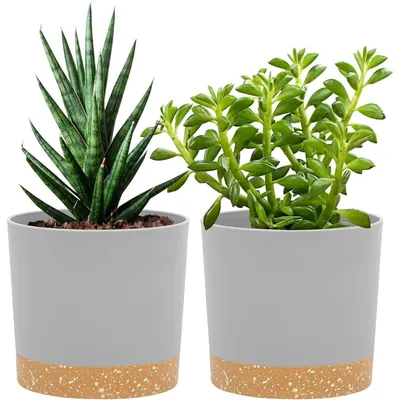 Produktbild von Blumentöpfe 2er Set 12,7 cm Hellgrau mit Untersetzer für Innen & Außen