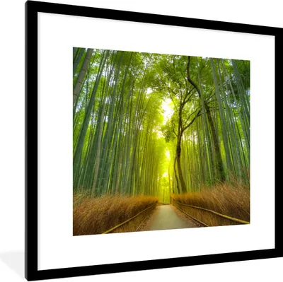 Produktbild von MuchoWow® Gerahmtes Poster Pfad im Arashiyama-Bambuswald in Japan 40x40 cm - Poster mit Schwarzem Bilderrahmen Wandposter Rahmen Foto Bilder - Poster - Plakat im Rahmen