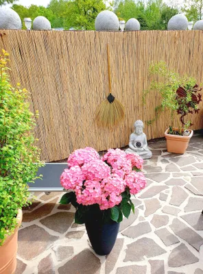 A decorative outdoor patio with a reed fence, potted plants, a Buddha statue, and a broom.