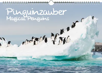 Produktbild von Pinguinzauber DIN A3 Kalender - Immerwährender Kalender Pinguin - Seelenzauber
