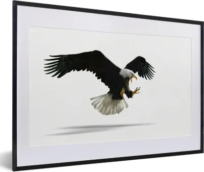 Produktbild von MuchoWow® Gerahmtes Poster Adler - Vogel - Weiß 60x40 cm - Poster mit Schwarzem Bilderrahmen Wandposter Rahmen Foto Bilder - Schlafzimmer - Plakat in Rahmen - Drucken