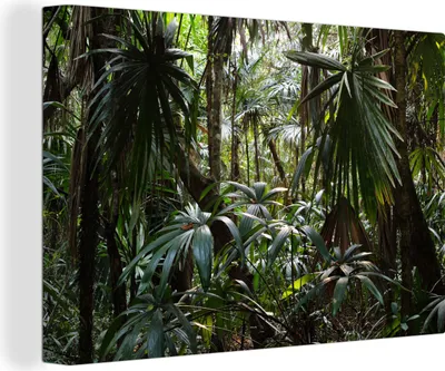 Produktbild von OneMillionCanvasses® - Leinwandbilder - 140x90 cm, Pflanzen im Regenwald, Wandbilder Kunstdruck Wanddekoration - Foto auf Leinwand - Gemälde auf Holzrahmen