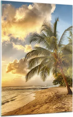 Produktbild von Bilder auf glas - Einteilig - Strand Meer Palme - 50x70cm - Glasbilder - Wandbilder - Bilder - zum Aufhängen bereit - Wanddekoration aus Glas - Glas Bilder - Wandbild auf Glas - GPA50x70-3606