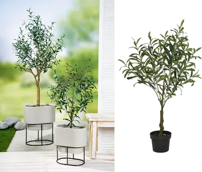 Produktbild von Gilde Kunstpflanze Olivenbaum im Topf 99354
