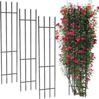 Immagine prodotto di Pergola da giardino in metallo, supporto per piante di rose da fiore, traliccio di 3 pz.