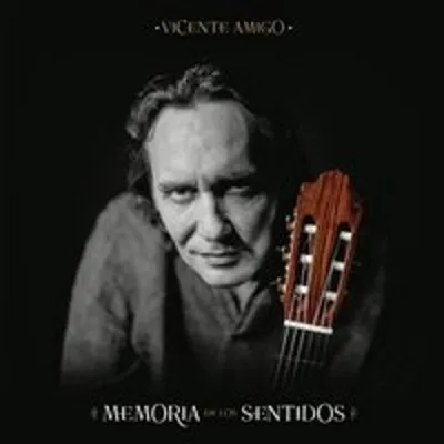 Image de Amigo, Vicente - La mémoire des sens