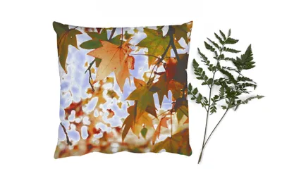 Produktbild von MuchoWow® Zierkissen Sofakissen Wohnzimmer Dekokissen 45x45 cm Natur - Herbstblätter - Rustikal - Schlafpolster - Polster für das Sofa