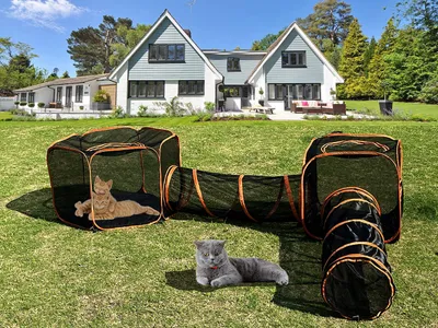 Immagine prodotto di Tenda tunnel per gatti e cani da interno, 2-in-1, pieghevole, ideale per giardino e campeggio
